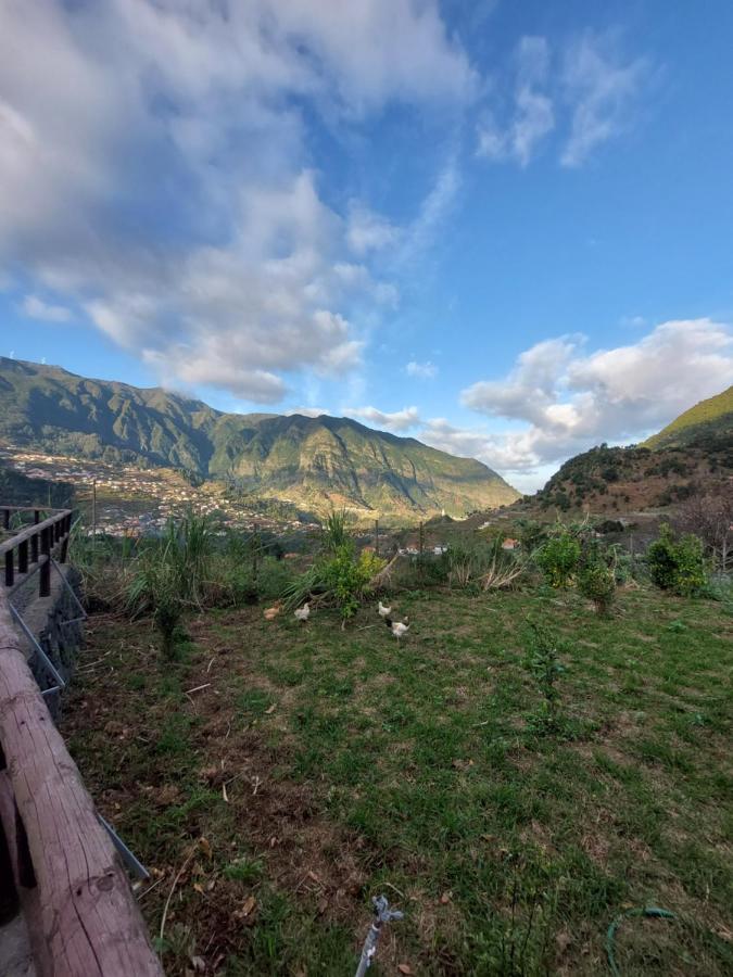 Lameiros Cottage São Vicente Dış mekan fotoğraf